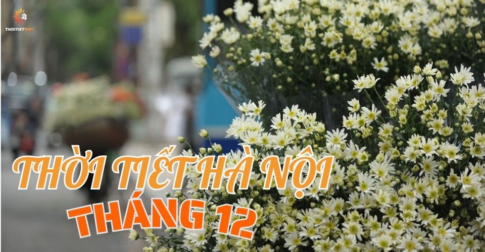 Thời tiết Hà Nội tháng 12: Trải nghiệm hẹn hò mùa đông Hà Nội 